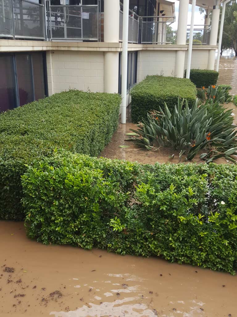 Flooded